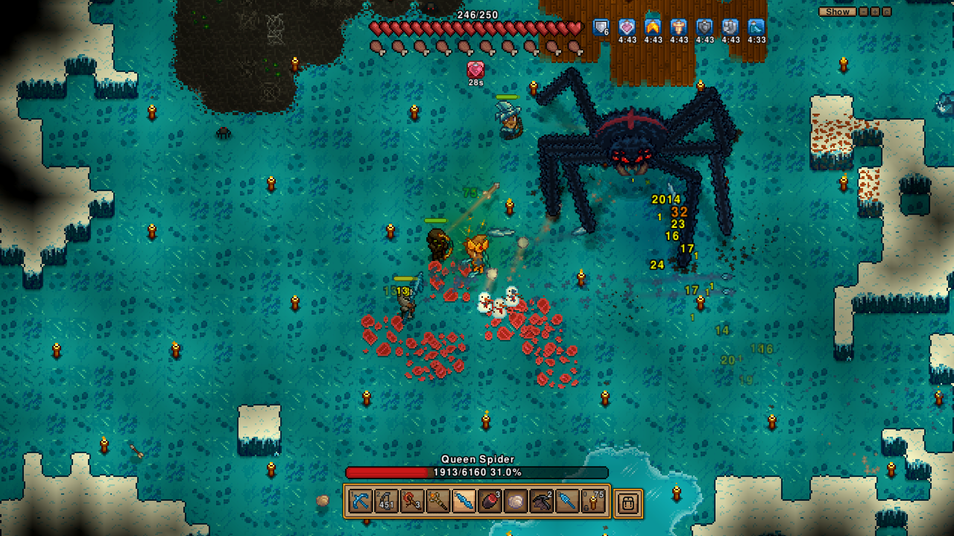 11-Queen%20spider%20fight.png